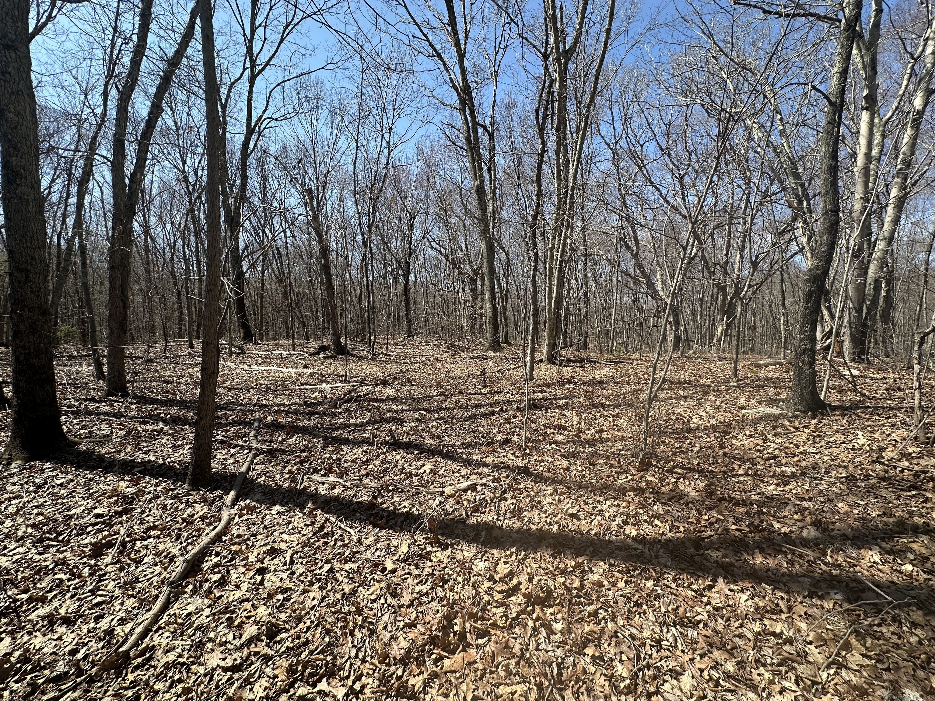 Cowles Road Woodbury CT 06798