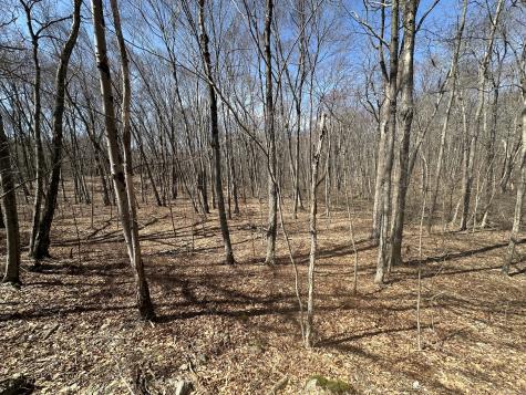 Cowles Road Woodbury CT 06798