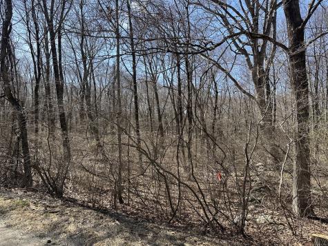 Cowles Road Woodbury CT 06798