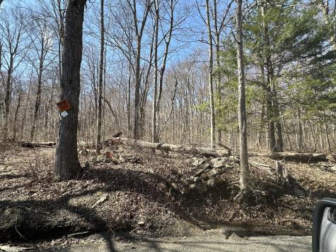 Cowles Road Woodbury CT 06798