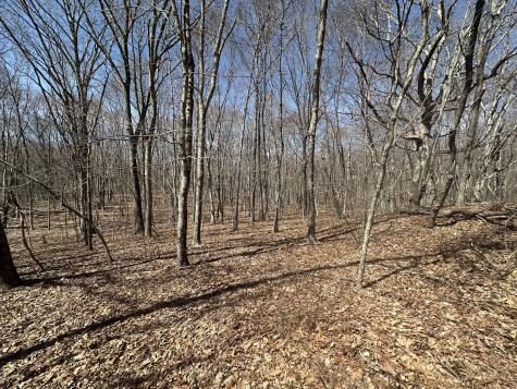 Cowles Road Woodbury CT 06798