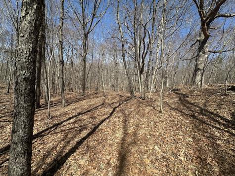 Cowles Road Woodbury CT 06798