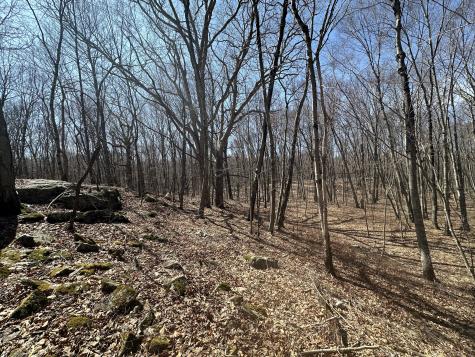 Cowles Road Woodbury CT 06798