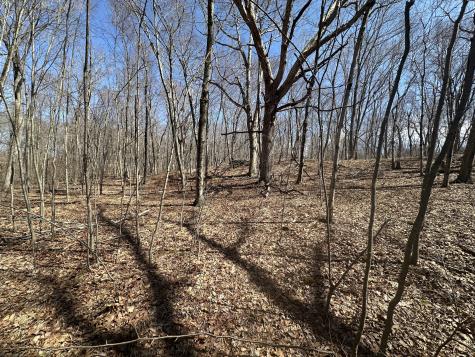 Cowles Road Woodbury CT 06798