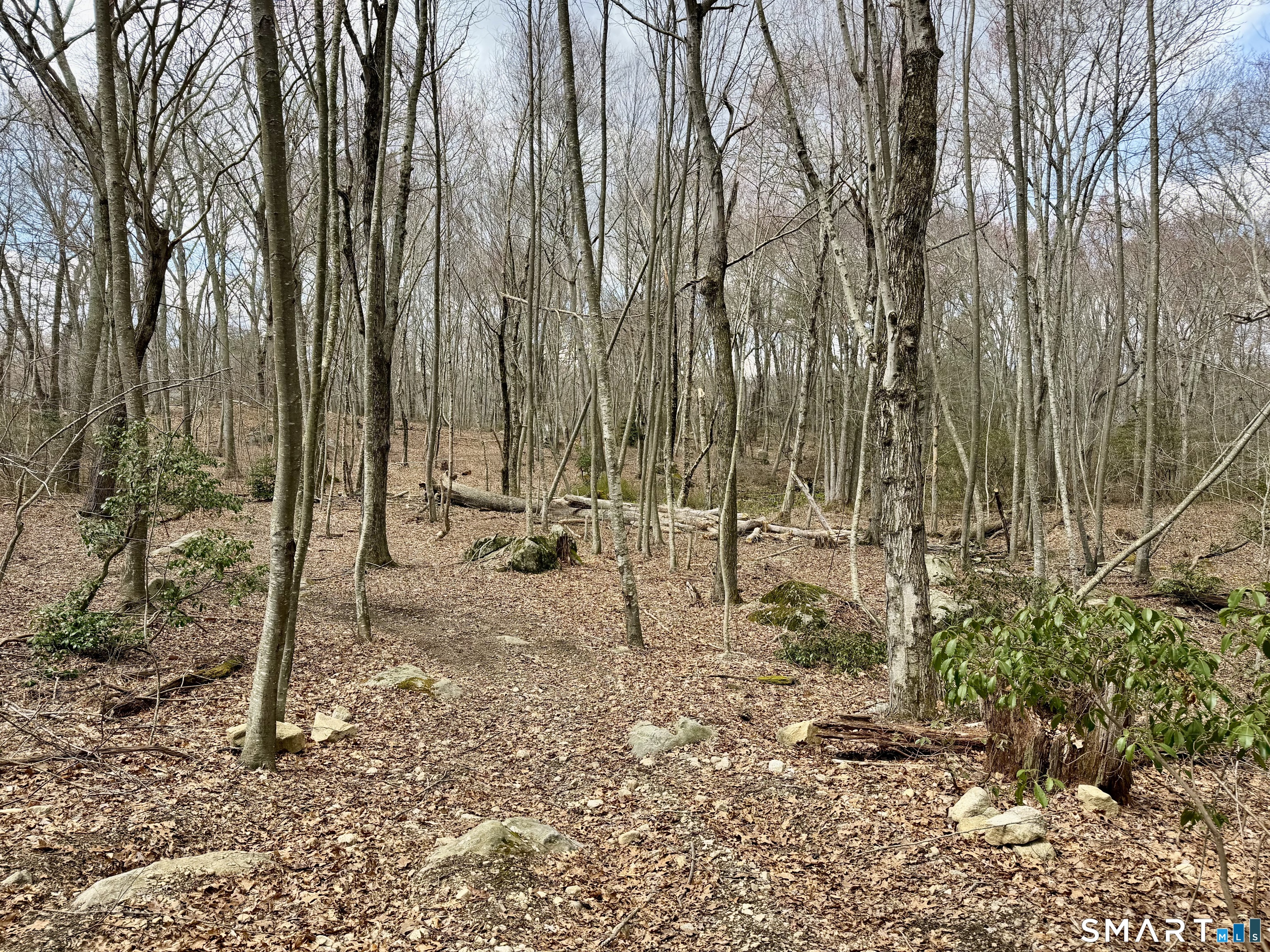 241 Niantic River Road Waterford CT 06385