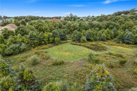 9 Holmes Farm Road Newtown CT 06470