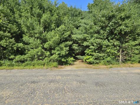 33 Mayflower Hill Stafford CT 06076