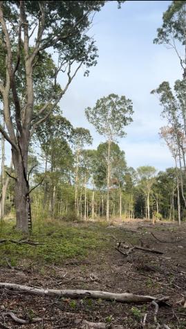 223 North Bride Brook Road East Lyme CT 06333