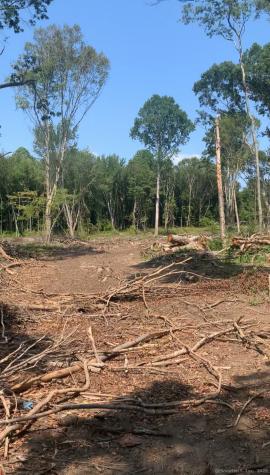 223 North Bride Brook Road East Lyme CT 06333