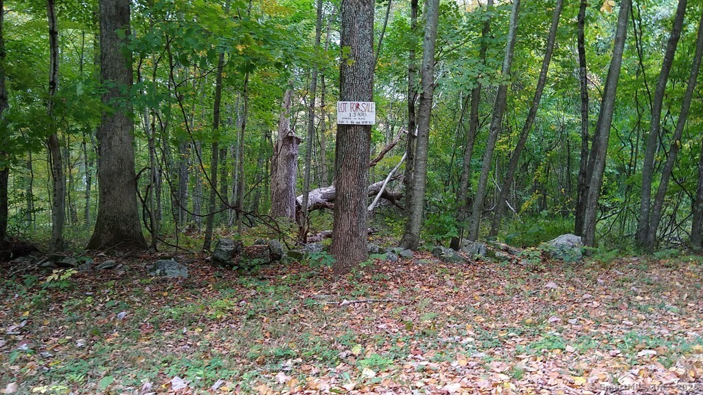 Chowanec Road Columbia CT 06237