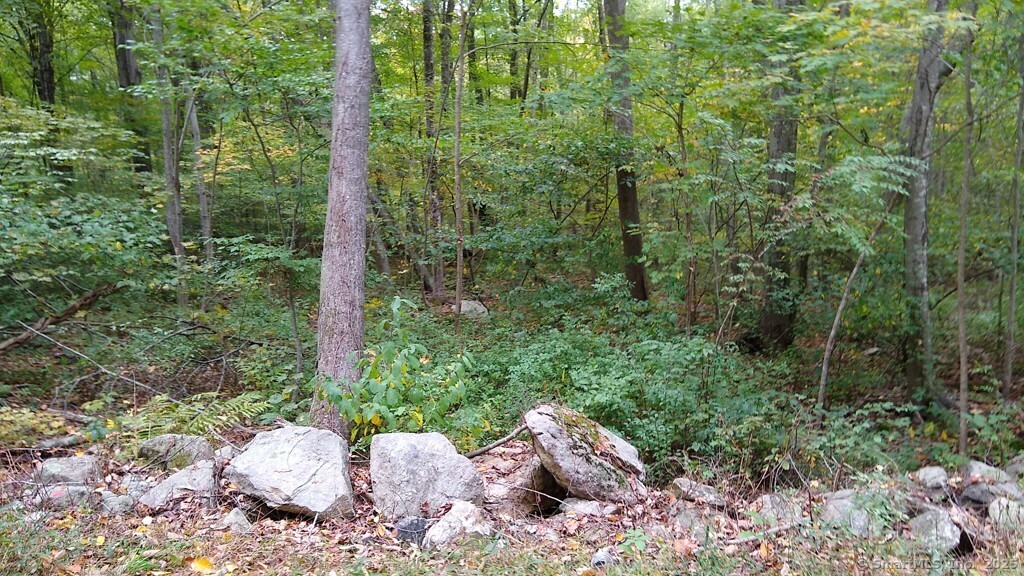 Chowanec Road Columbia CT 06237