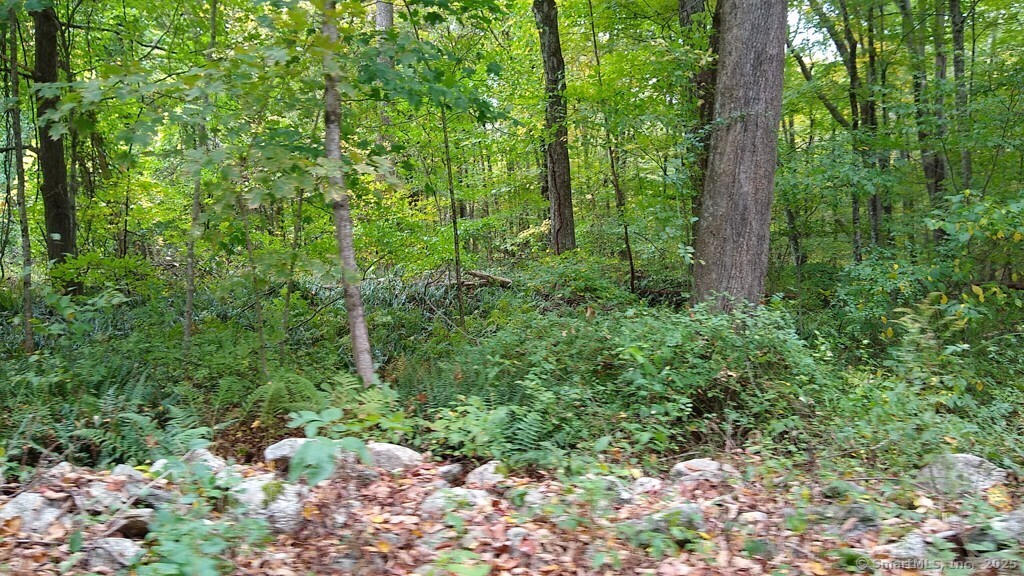 Chowanec Road Columbia CT 06237