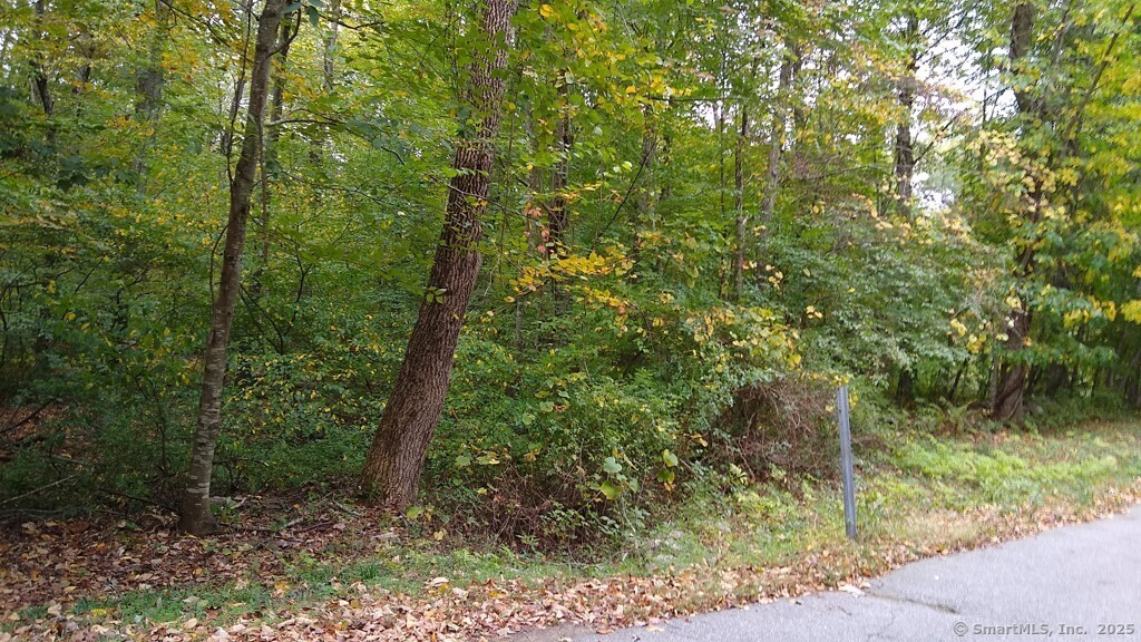 Chowanec Road Columbia CT 06237