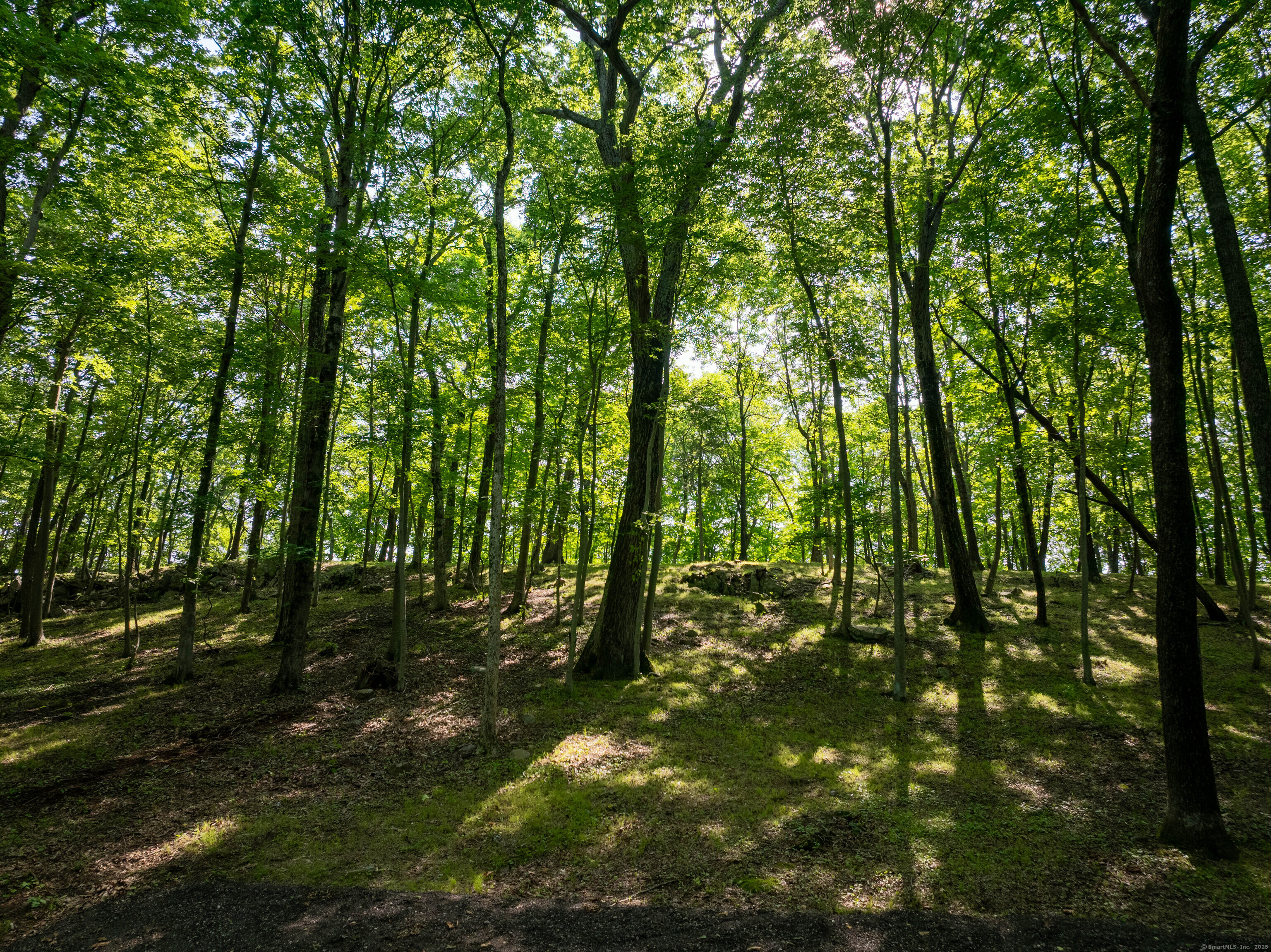 81 Mountain Road Prospect CT 06712