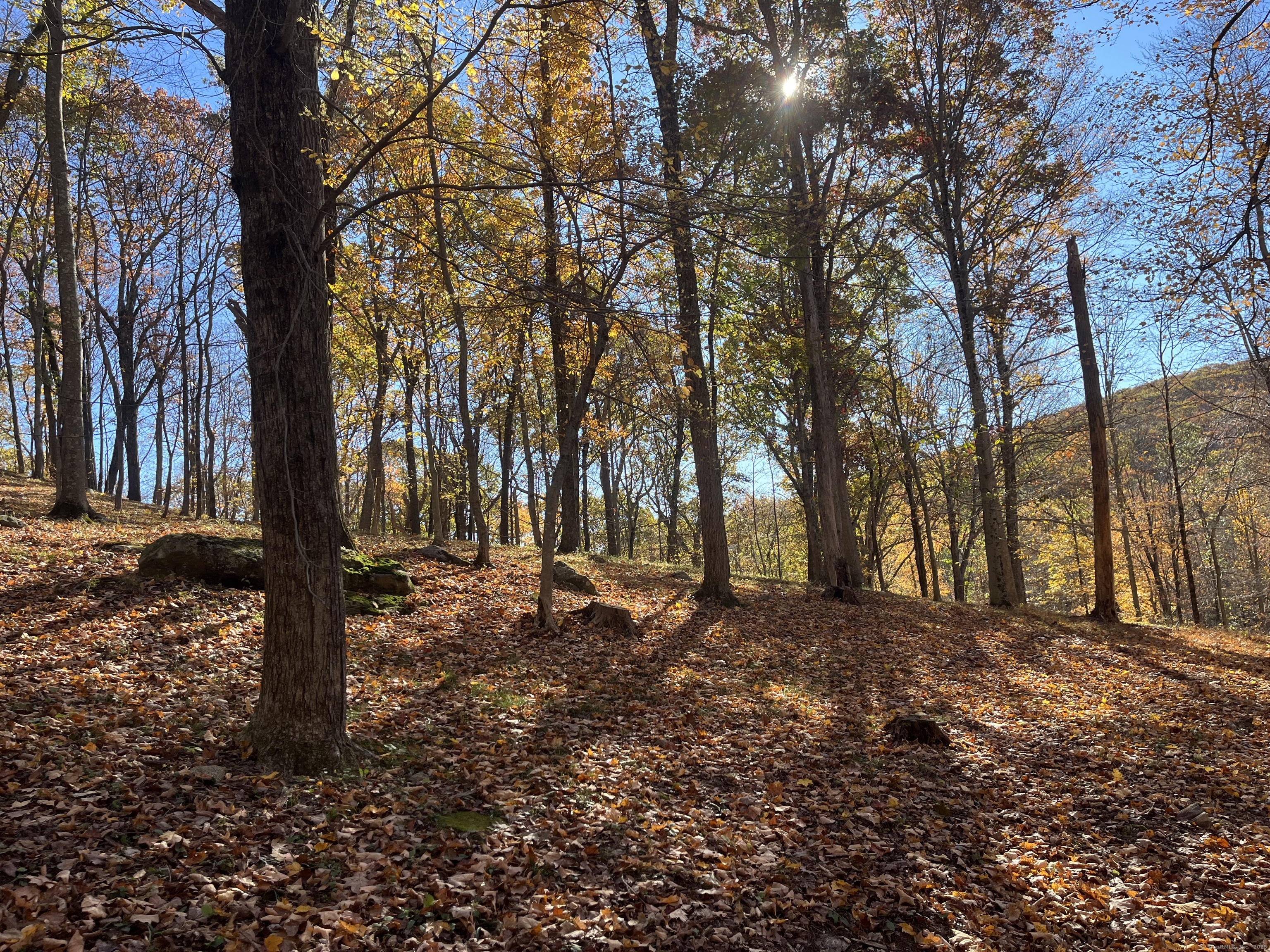 81 Mountain Road Prospect CT 06712
