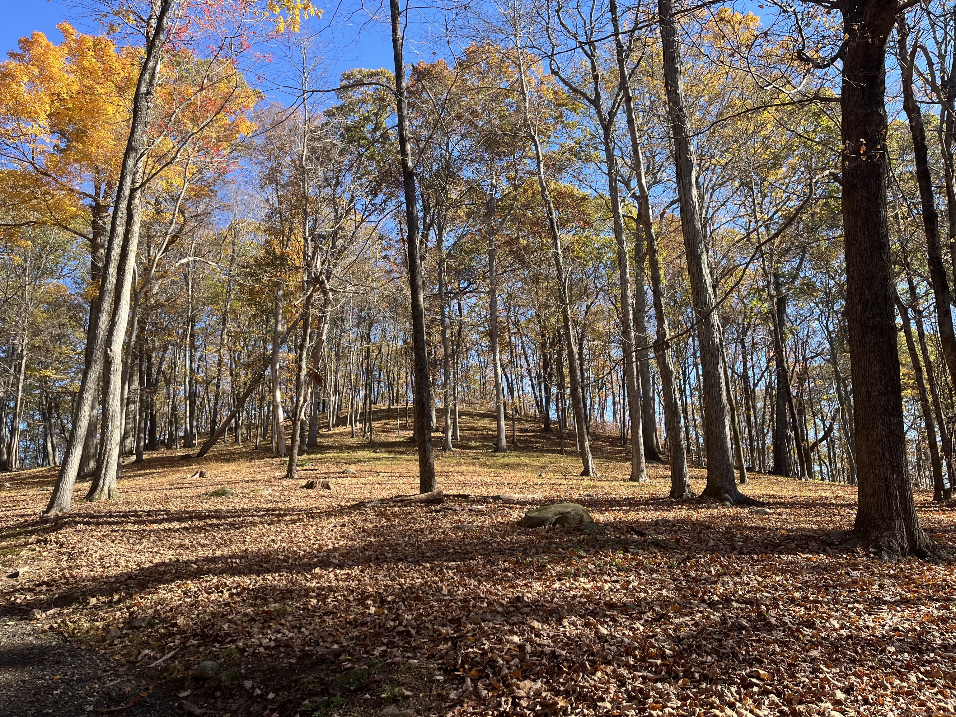 81 Mountain Road Prospect CT 06712
