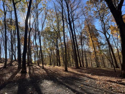 81 Mountain Road Prospect CT 06712