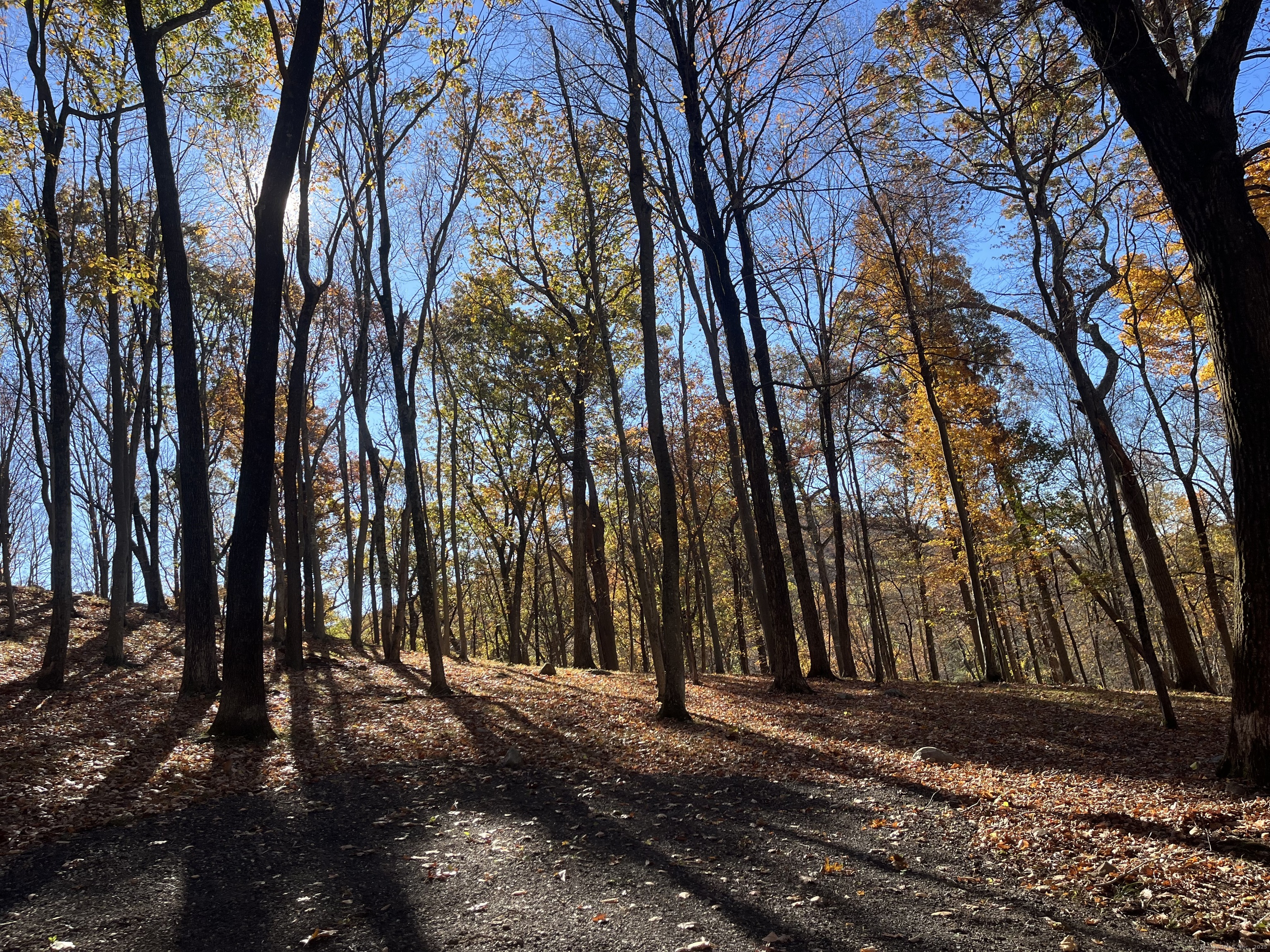 81 Mountain Road Prospect CT 06712