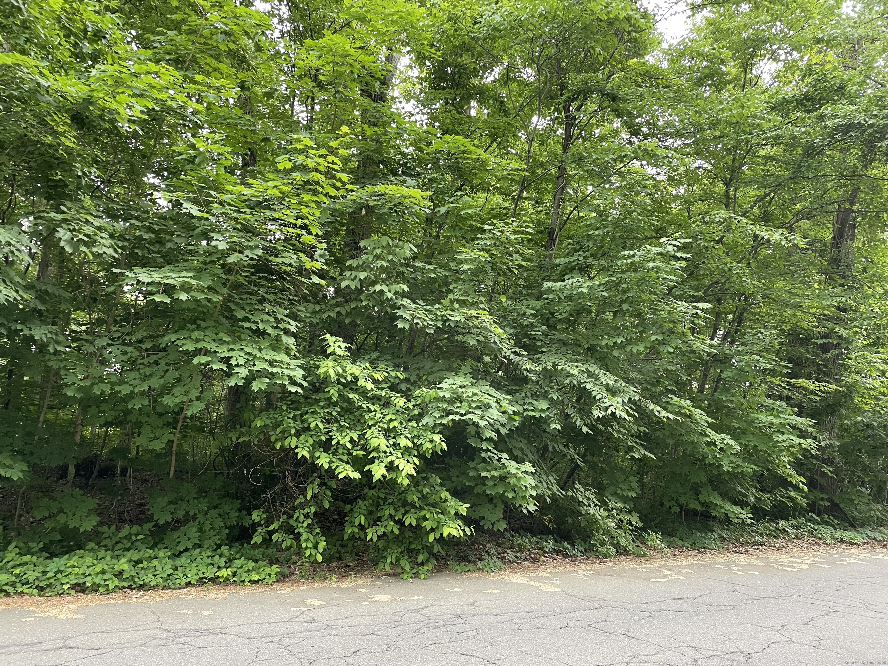 16 Morningcrest Drive West Hartford CT 06117