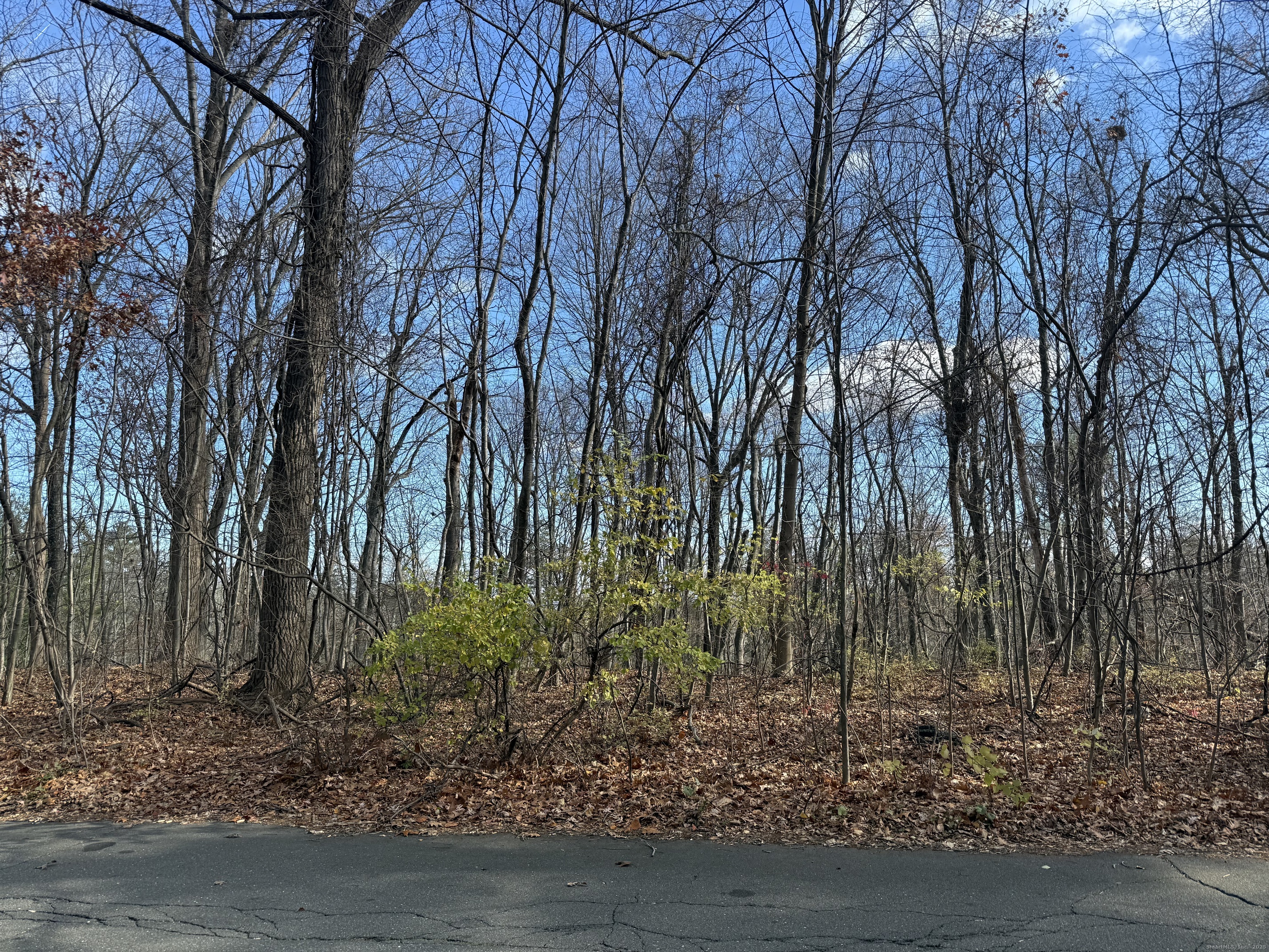 16 Morningcrest Drive West Hartford CT 06117