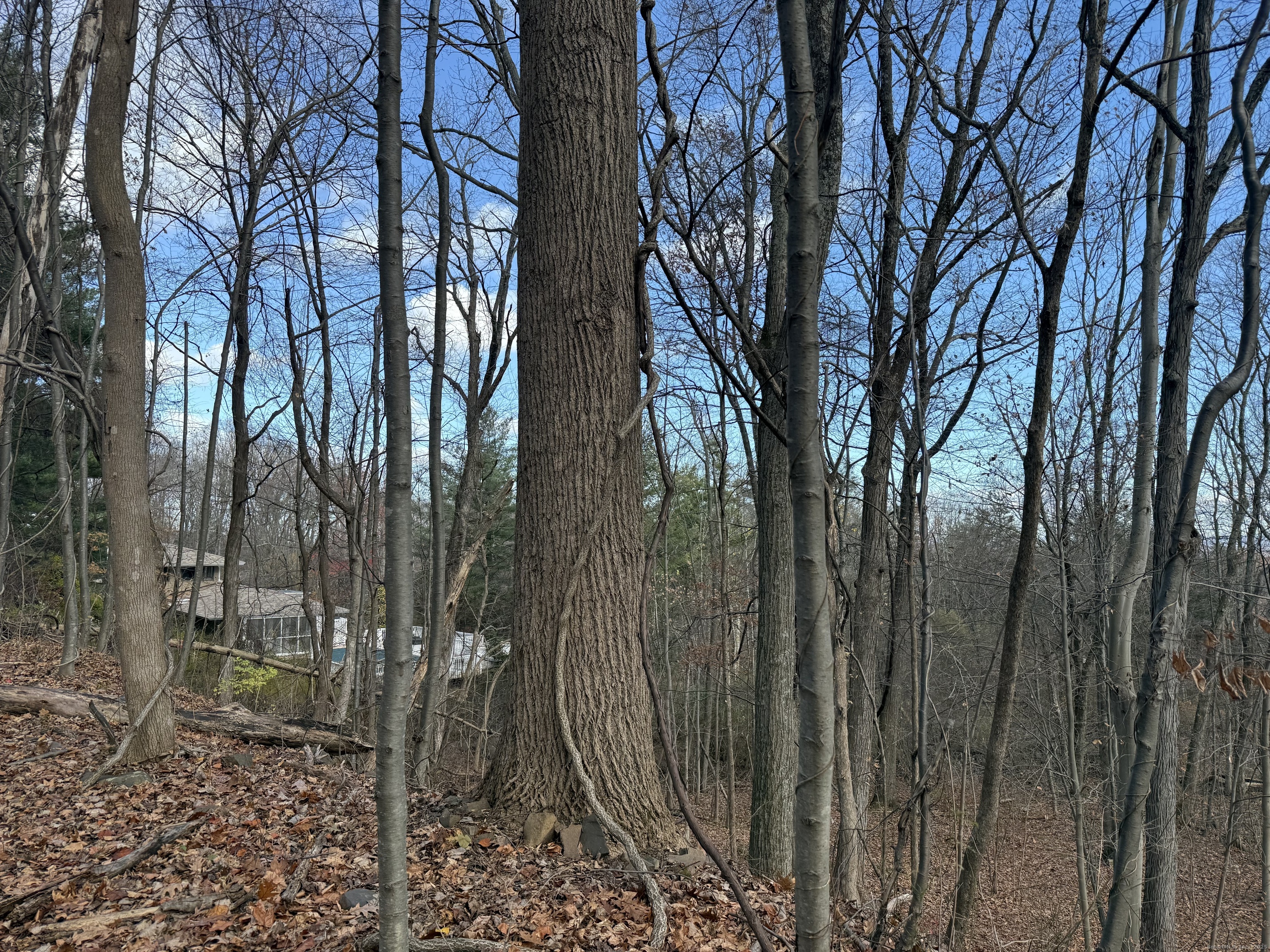 16 Morningcrest Drive West Hartford CT 06117