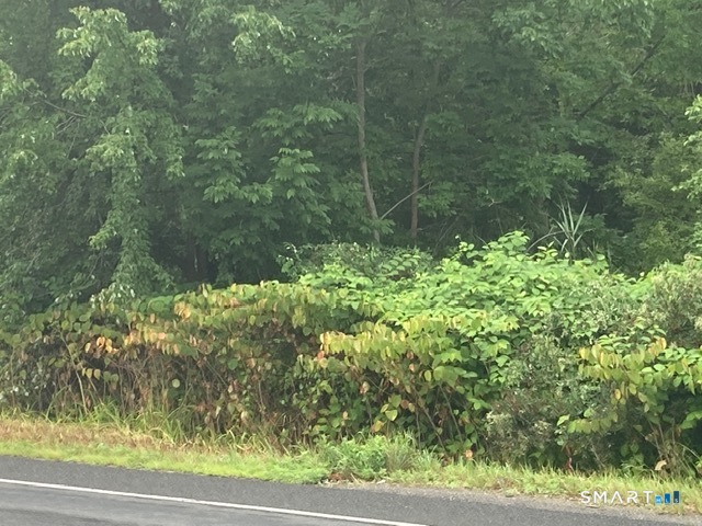 Sharon Turnpike Goshen CT 06756