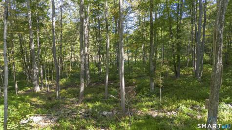 853 Scotland Road Norwich CT 06360