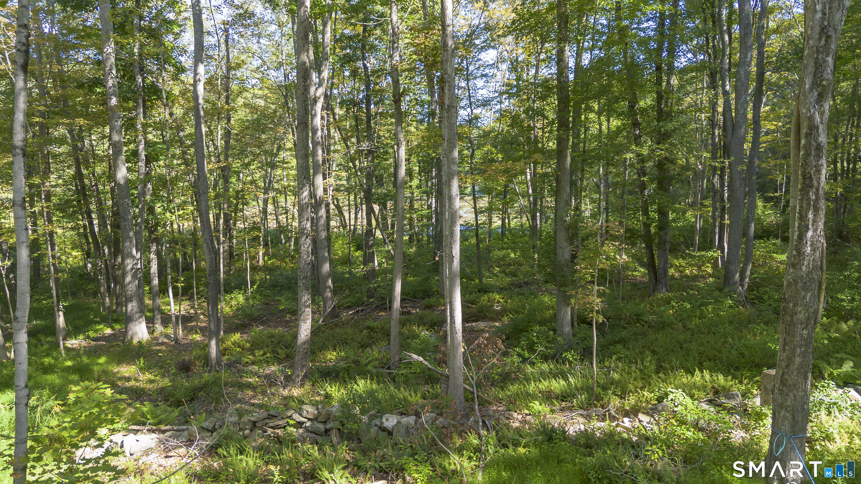 853 Scotland Road Norwich CT 06360