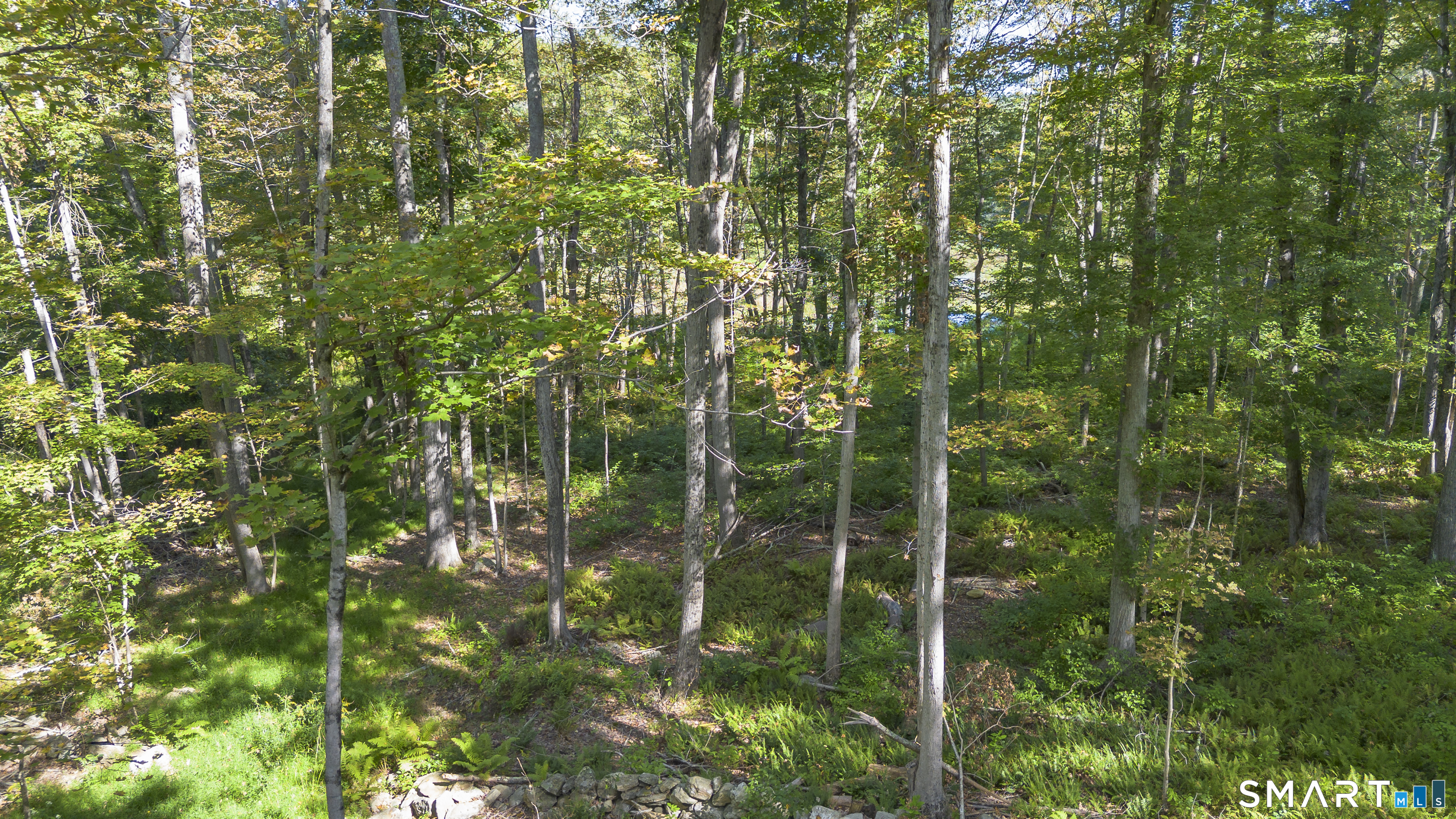 853 Scotland Road Norwich CT 06360