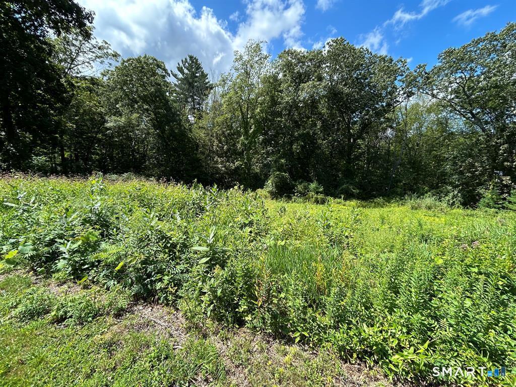 36 Olde Meadow Road Woodstock CT 06281