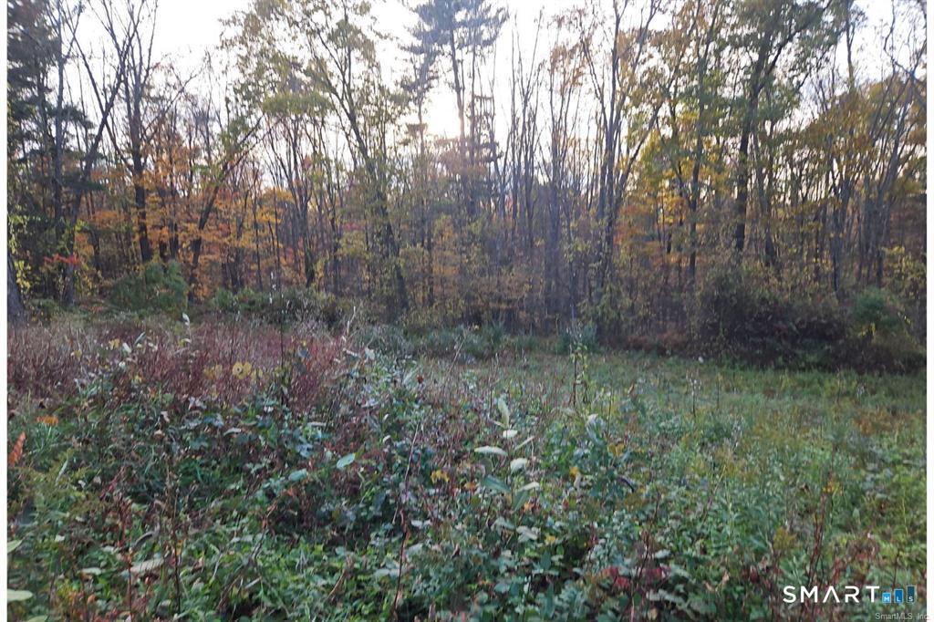 36 Olde Meadow Road Woodstock CT 06281