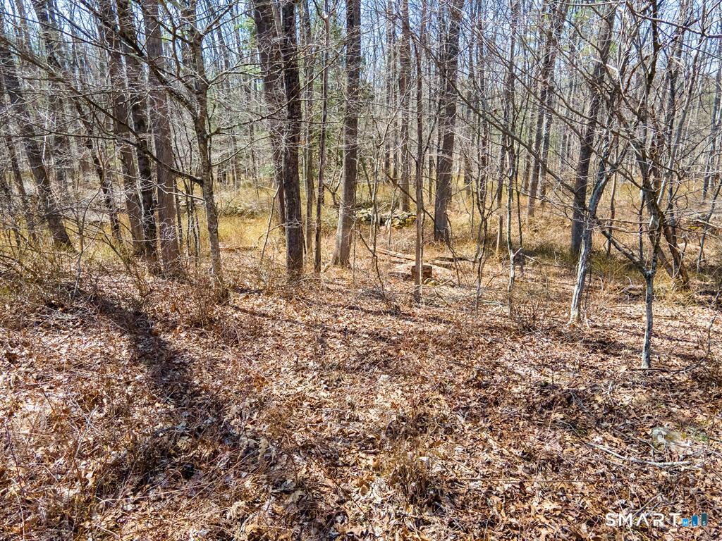 36 Olde Meadow Road Woodstock CT 06281