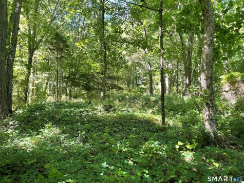 849 Pequot Trail Stonington CT 06378