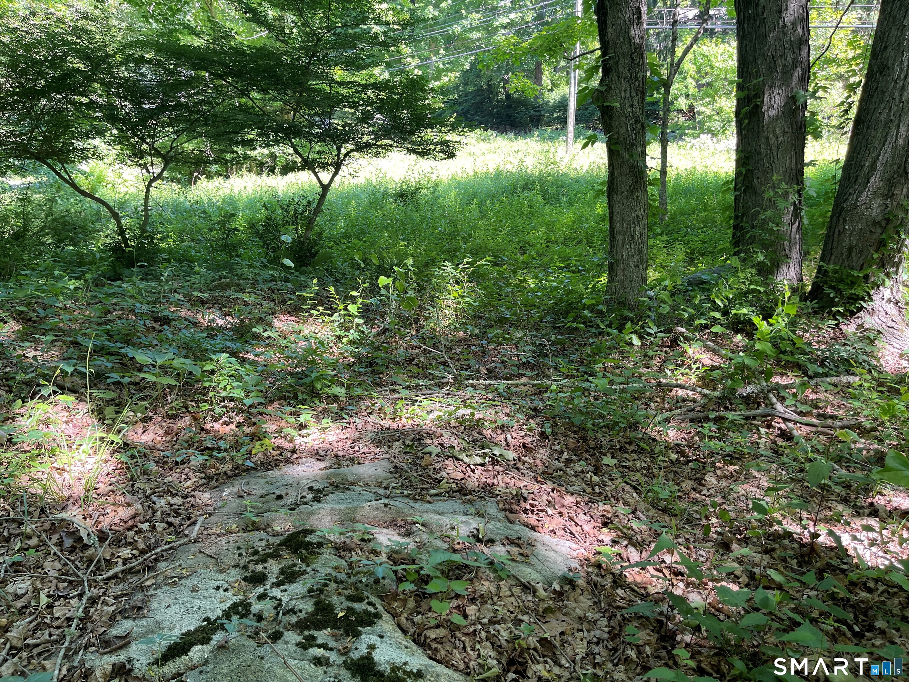 849 Pequot Trail Stonington CT 06378