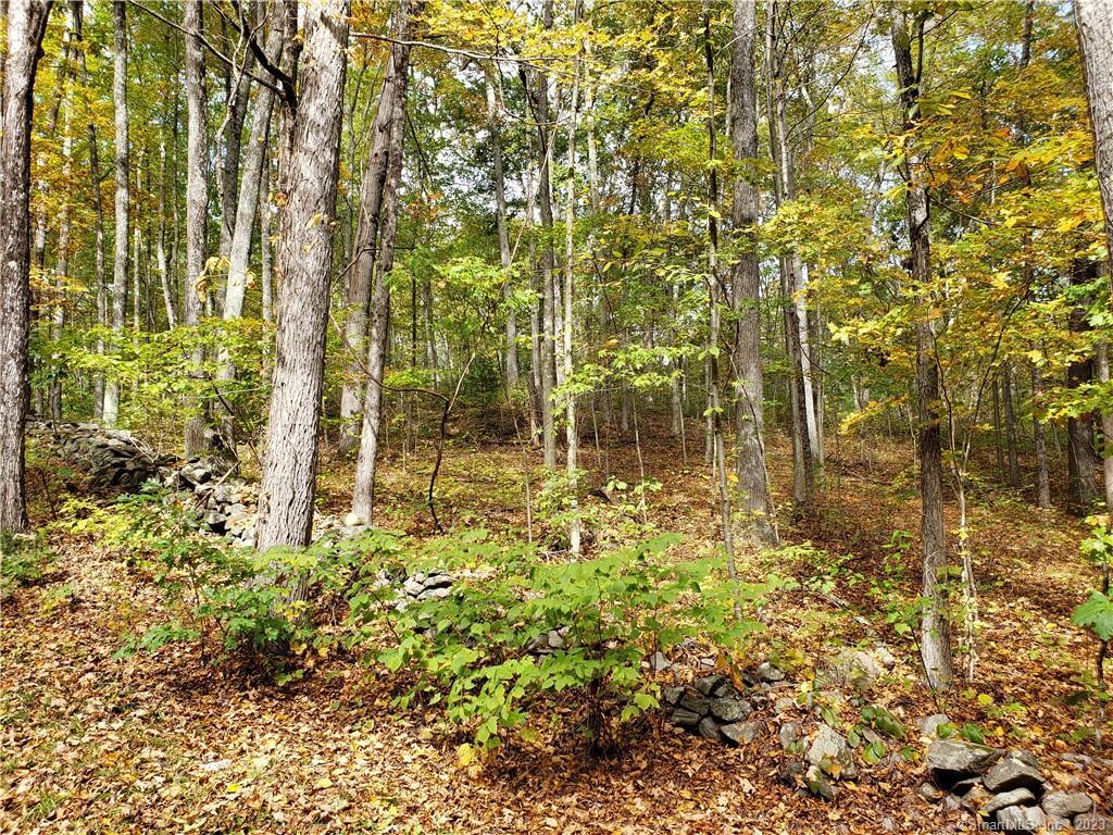 8 Forest Ridge Road Woodbury CT 06798