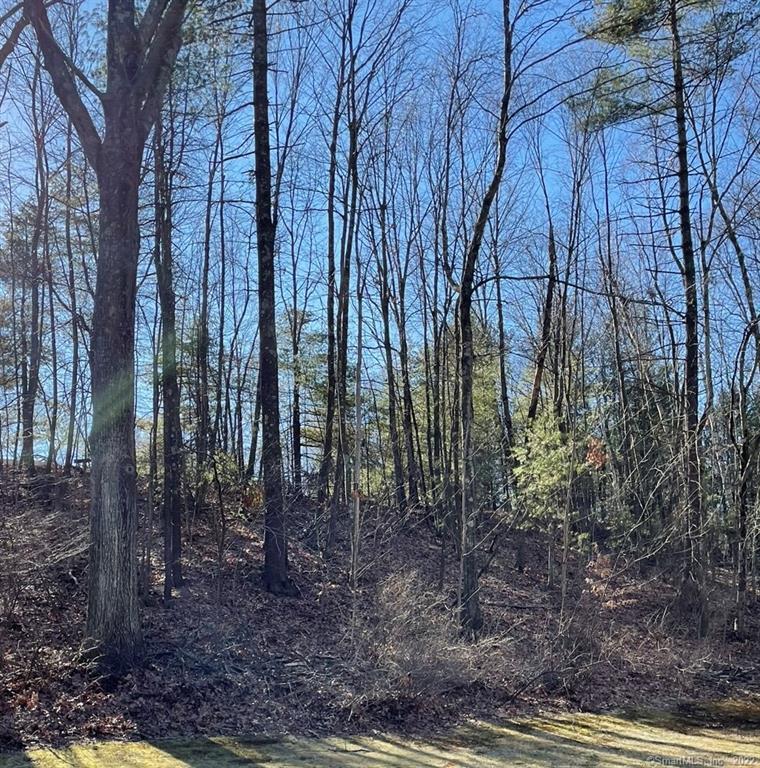 58 Rose Haven Road Somers CT 06071