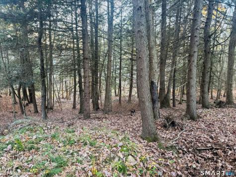 Ryler Court Thompson CT 06255