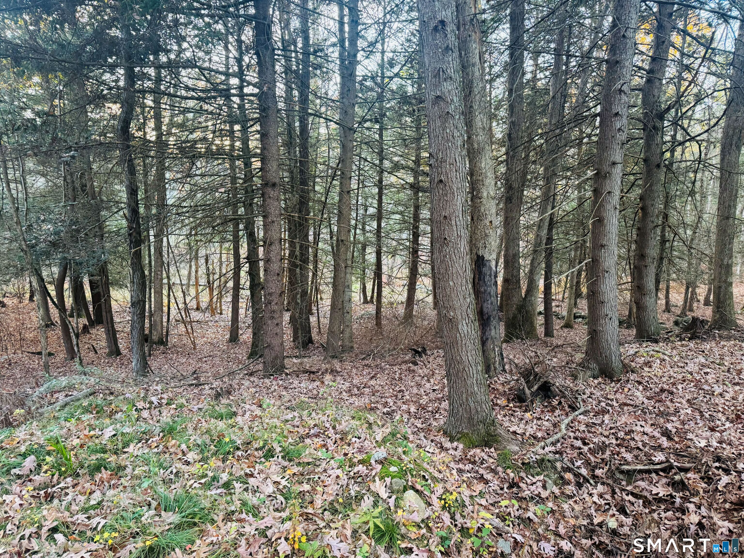 Ryler Court Thompson CT 06255
