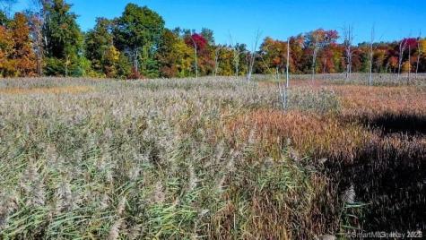 225 Route 22 Pawling NY 12564