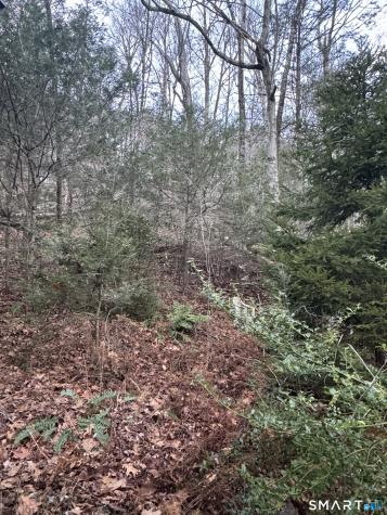 425 Colebrook River Road Colebrook CT 06021