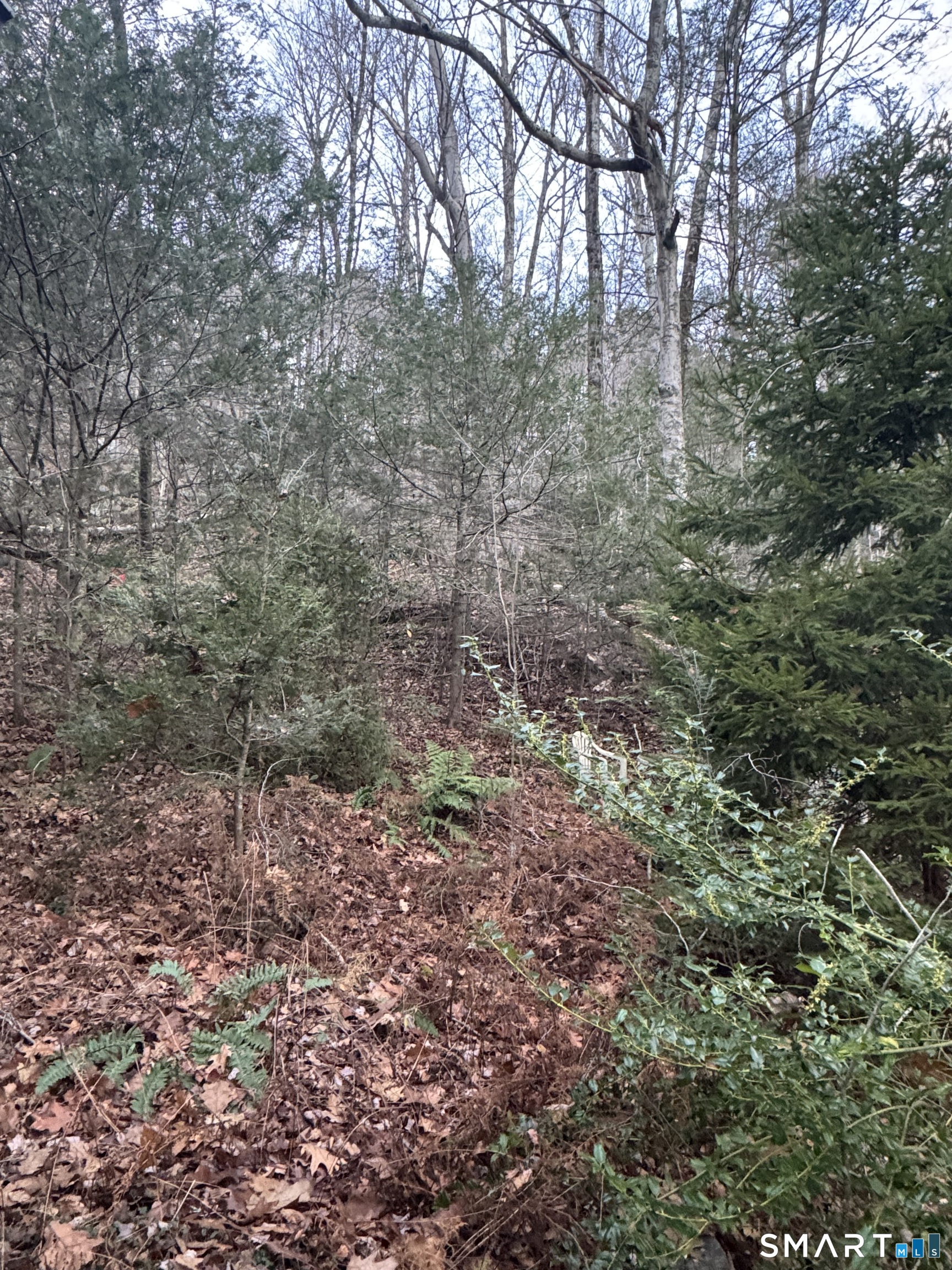 425 Colebrook River Road Colebrook CT 06021