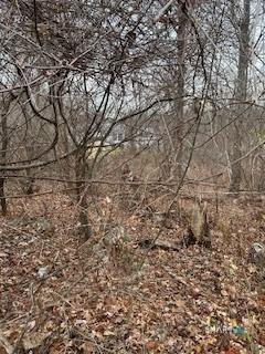 28 Tower Lane Naugatuck CT 06770