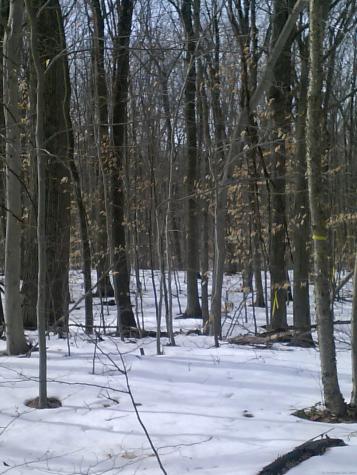 Suffield Street Suffield CT 06078