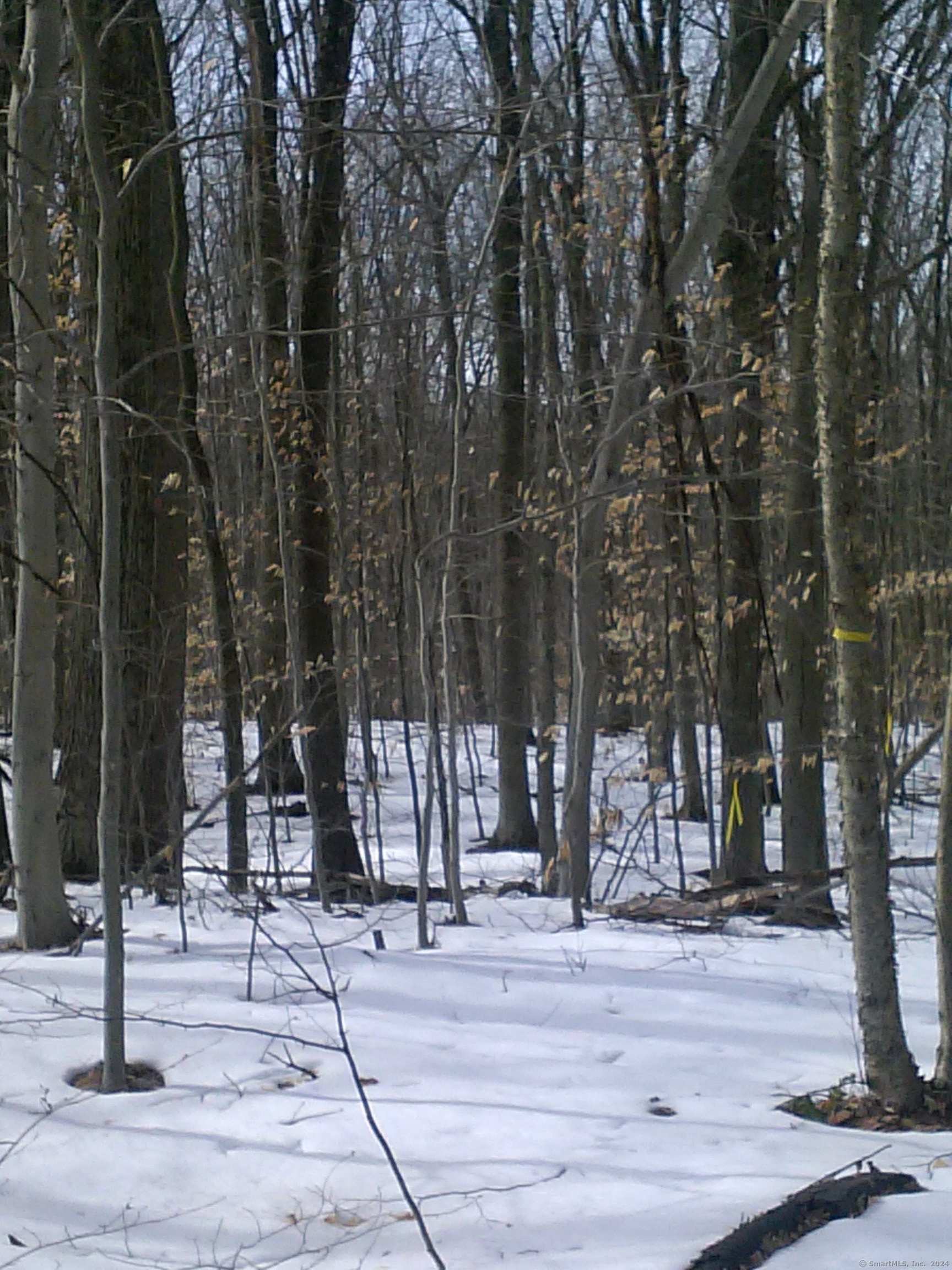Suffield Street Suffield CT 06078