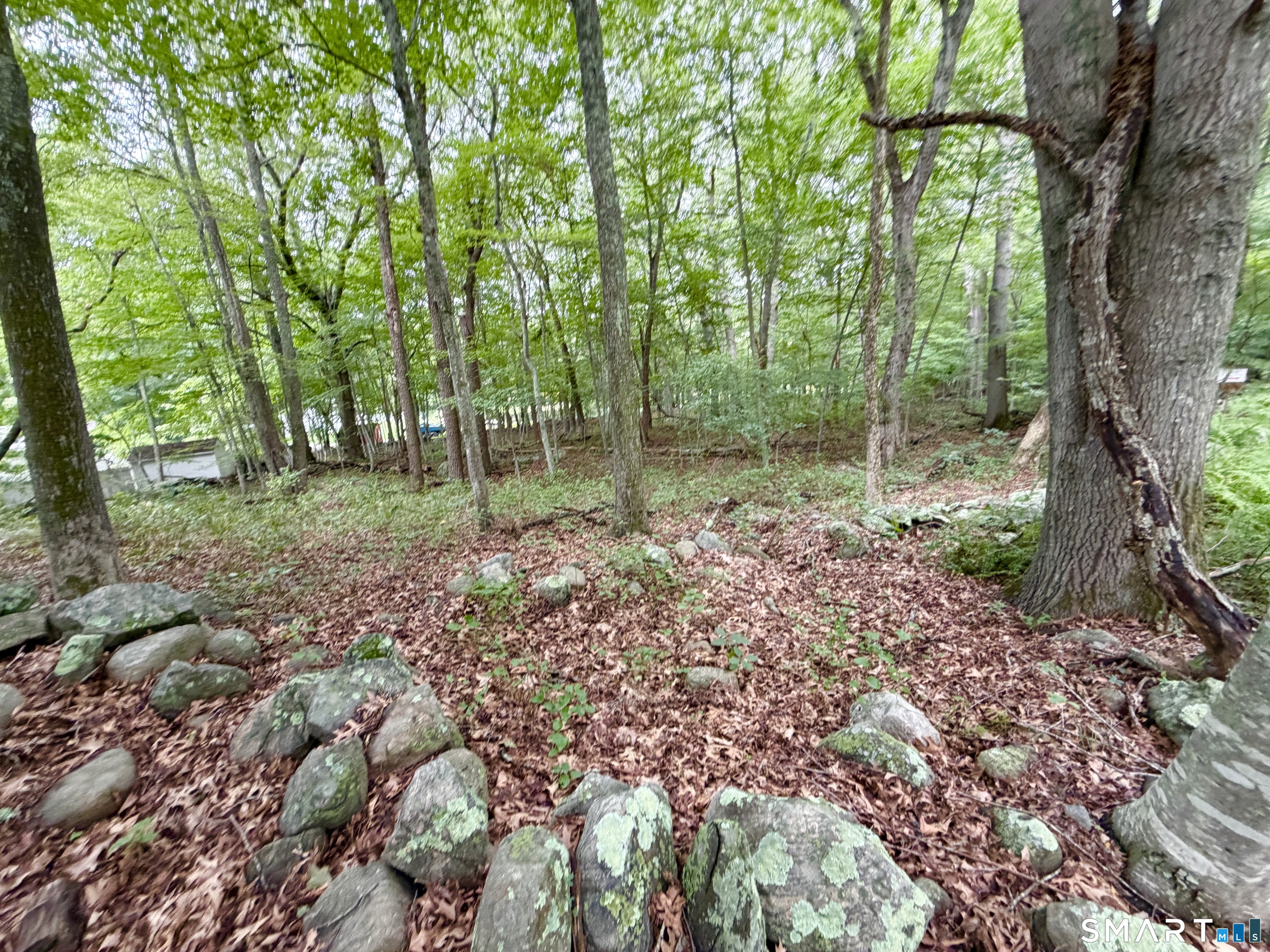 228-B Mile Creek Road Old Lyme CT 06371