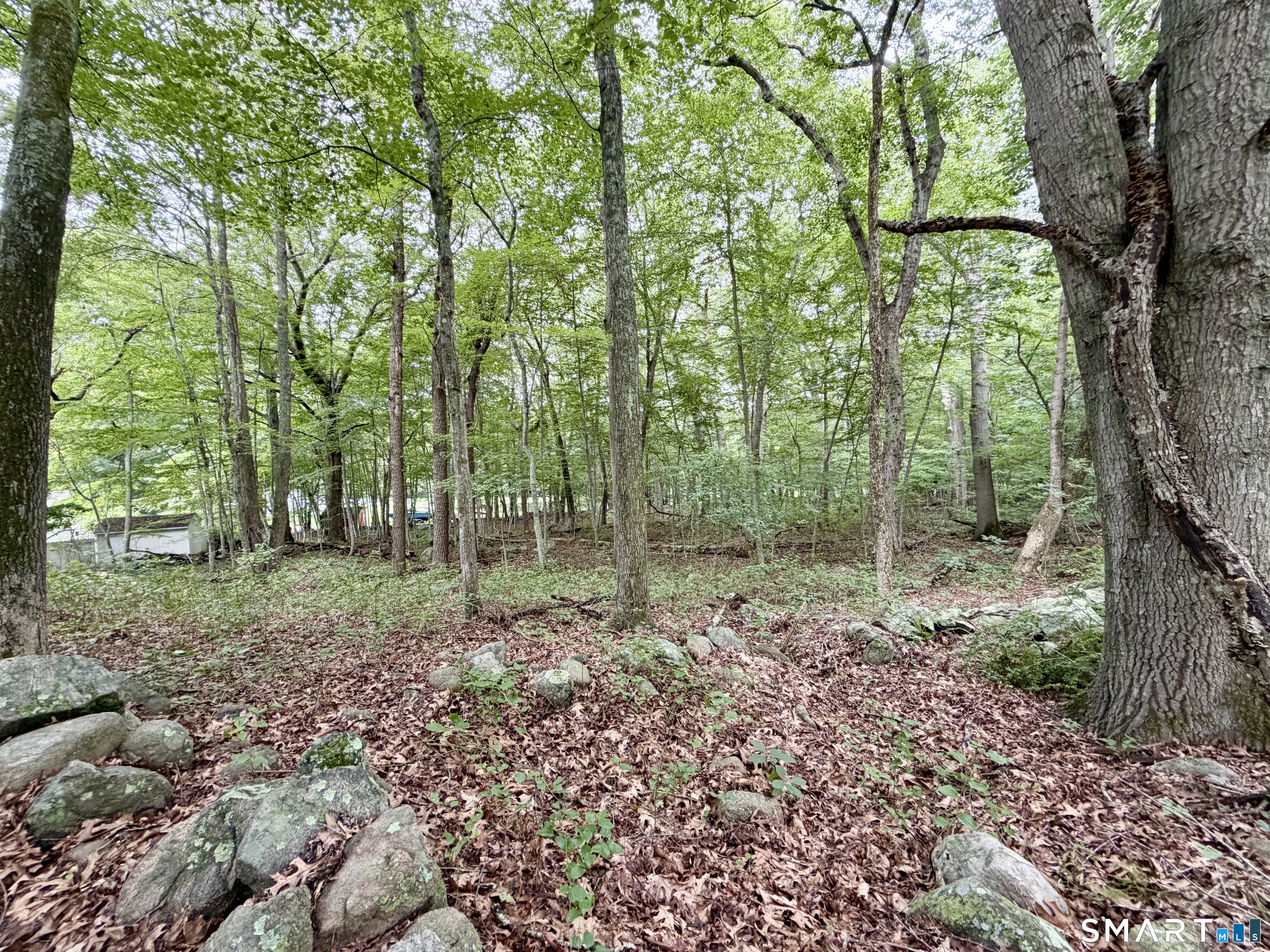 228-B Mile Creek Road Old Lyme CT 06371