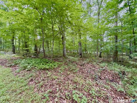228-B Mile Creek Road Old Lyme CT 06371