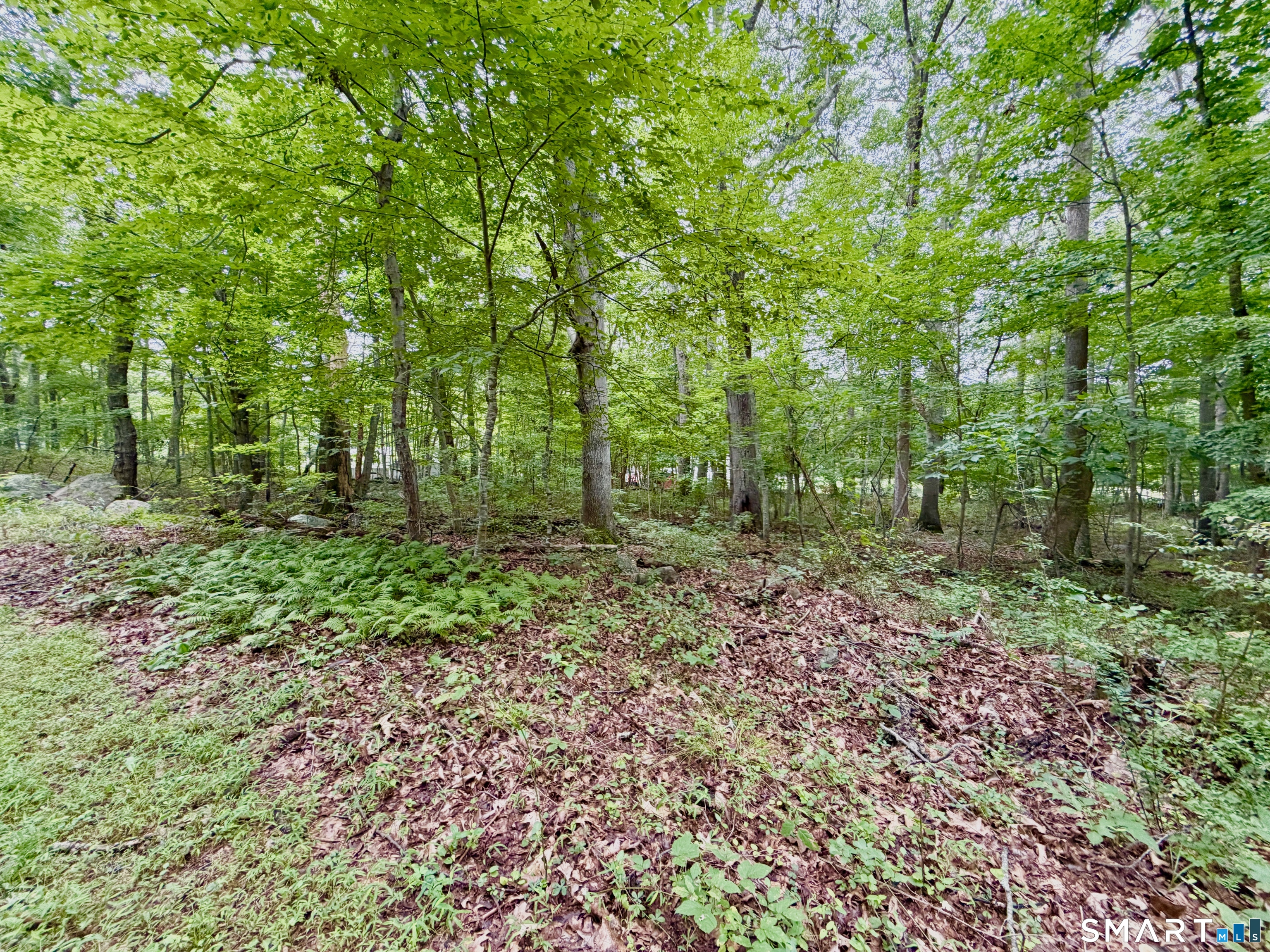 228-B Mile Creek Road Old Lyme CT 06371