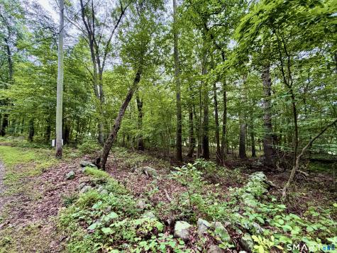 228-B Mile Creek Road Old Lyme CT 06371
