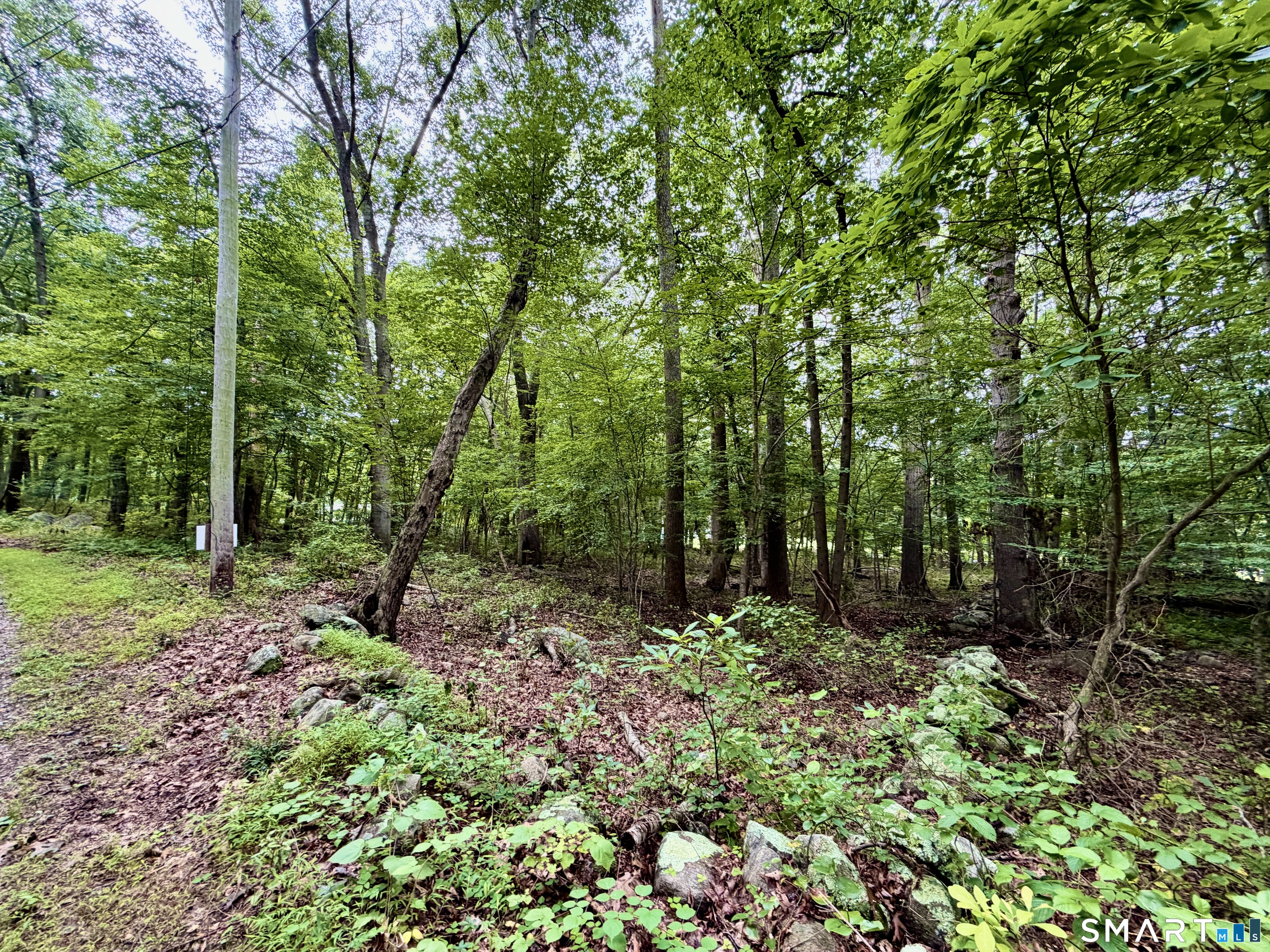 228-B Mile Creek Road Old Lyme CT 06371